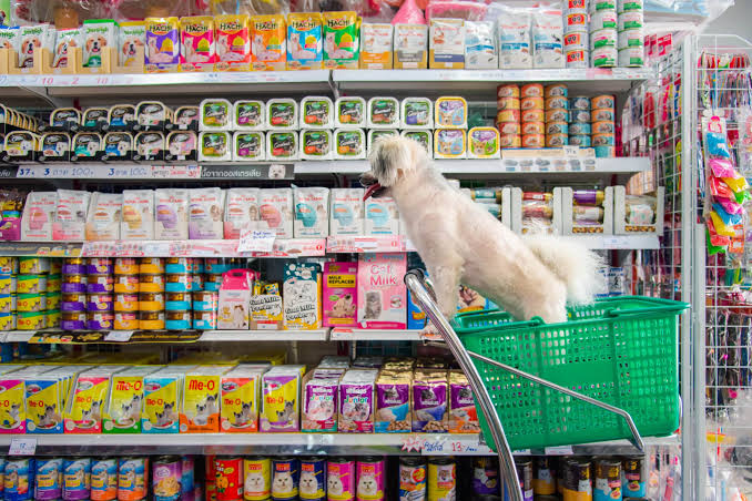 Entreprise Établie De Vente D'Articles Et De Toilettage Pour Animaux 1 Entreprise Établie De Vente D'Articles Et De Toilettage Pour Animaux 1