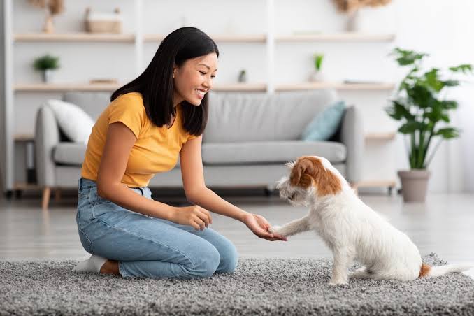 Rentable Établie Services-Pour-Animaux Entreprise Avec Revenus Récurrents Rochester-MN À Vendre 1