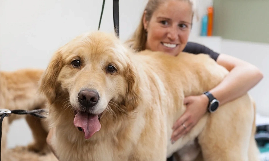 Salon de Toilettage pour Animaux à Forte Marge 1