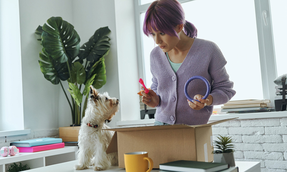 Entreprise Amazon FBA De Fournitures Pour Animaux Clé En Main À Vendre 1