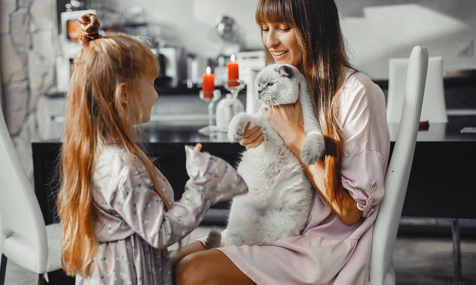 Entreprise De Toilettage Pour Animaux Primée À Vendre 1
