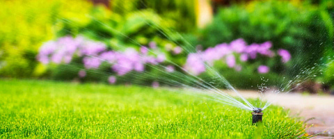 Vente Paysagisme / entreprises de jardinage paysager for sale in Wilmington-Delaware 218504