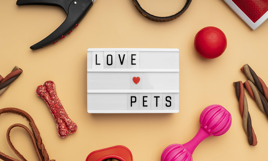 Boutique En Ligne D'Accessoires Pour Animaux 10kp/m Garanti En 3m À Vendre 1