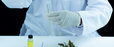 Vente Entreprises de cannabis for sale in Los Angeles 209673