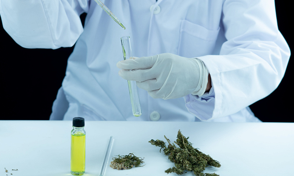 Cannabis Manufacturing & Distribution Brand– Multi-Category Market Leader In Los Angeles For Sale 1