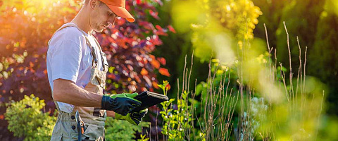 Vente Paysagisme / entreprises de jardinage paysager for sale in Kansas City-Missouri 289774