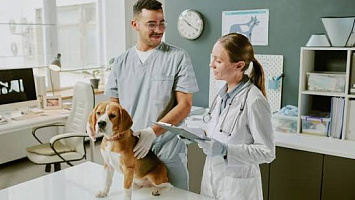 Vente Cliniques vétérinaires for sale in Manhattan-Kansas 227152