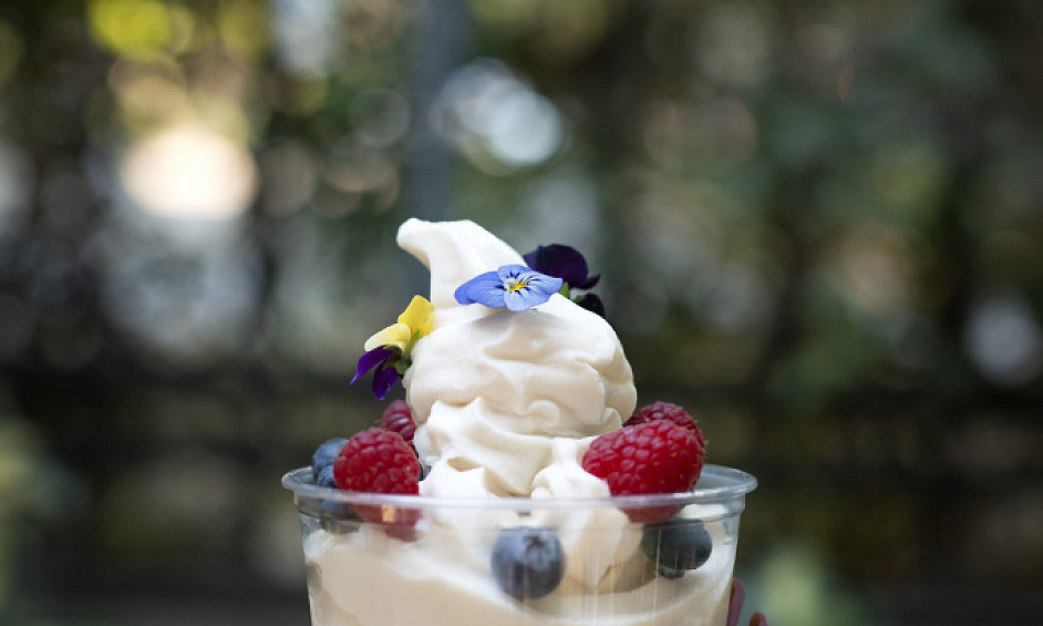 À Haut Volume Bien Établi Pinkberry À San Diego, CA À Vendre 1