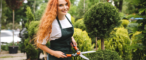 Vente Paysagisme / entreprises de jardinage paysager for sale in Scottsdale 209881