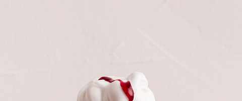 Vente Glaciers (salons de crème glacée) for sale in Maricopa-Arizona 209905