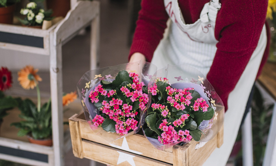 Fleurs En Gros À Vendre Aux Magasins De Détail 1